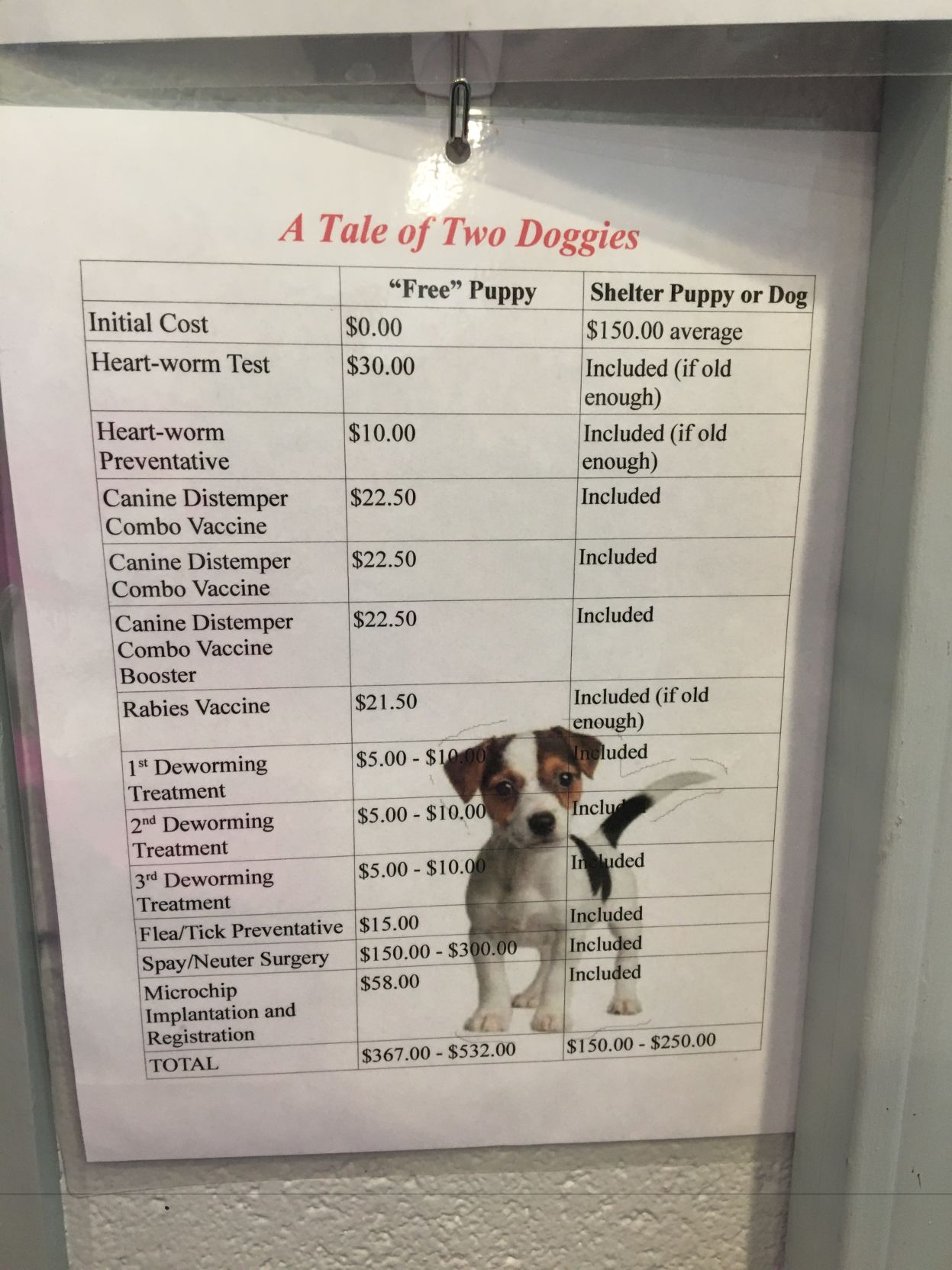 dog cost.JPG